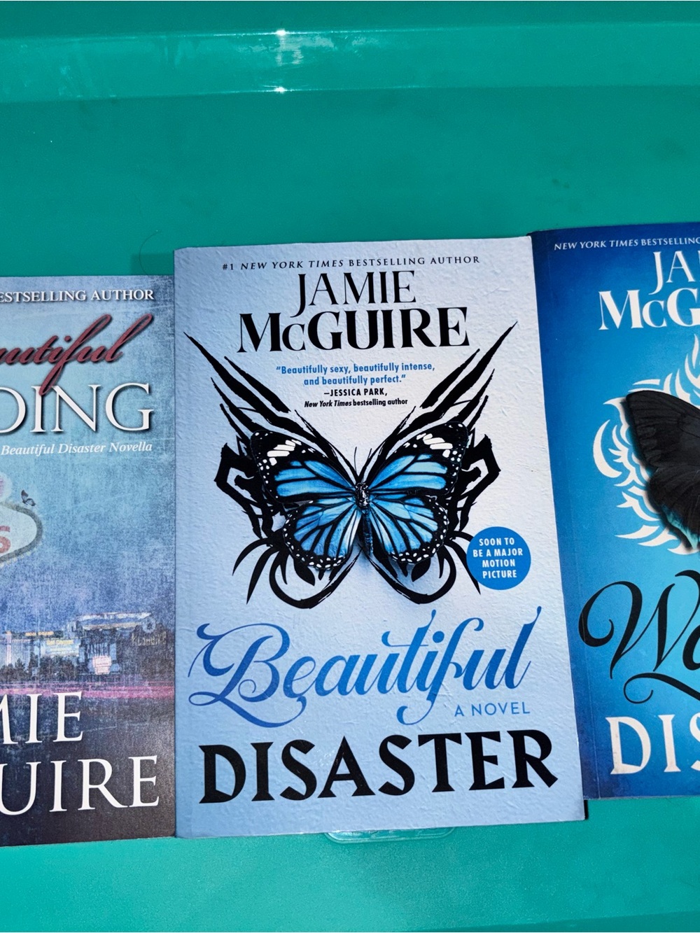 Jamie McGuire "Beautiful Disaster" Paperback - Blue Butterfly Cover